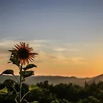 Rural Veselic Pridvorje